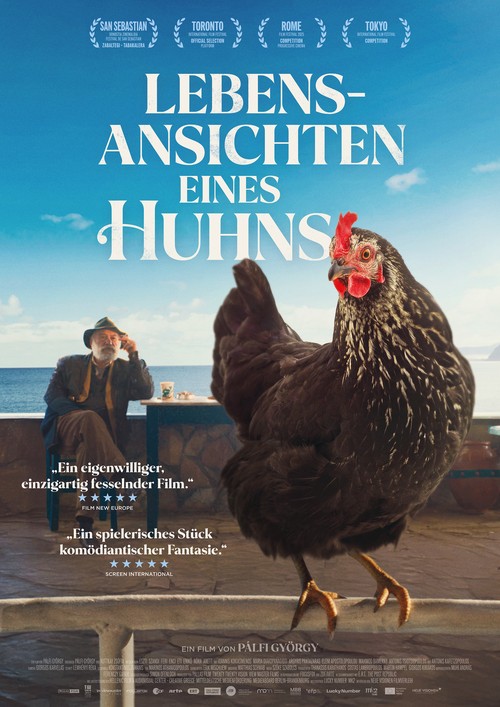 PLAKAT Lebensansichten eines Huhns