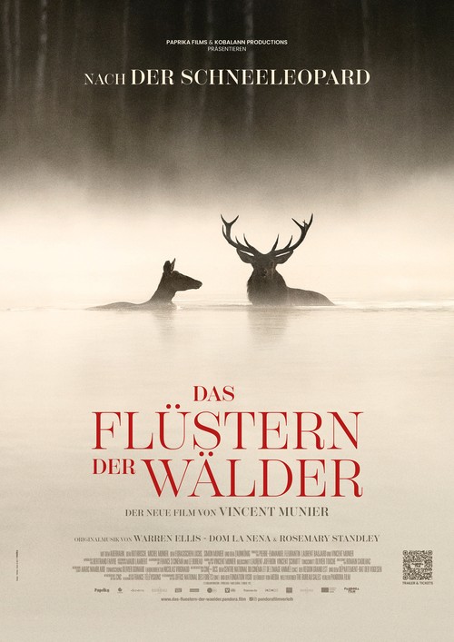 PLAKAT Das Flüstern der Wälder